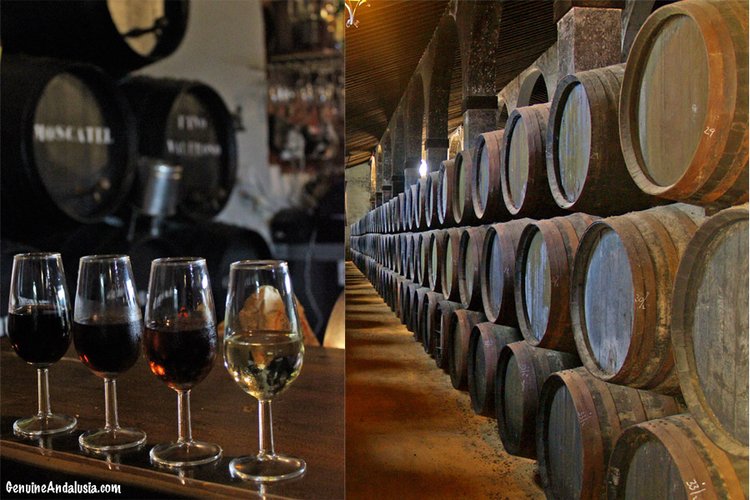 Sights of bodegas in the Sherry Triangle