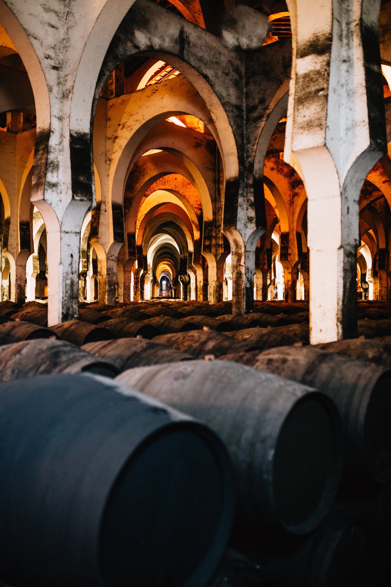 bodegas catedrales vinos de jerez