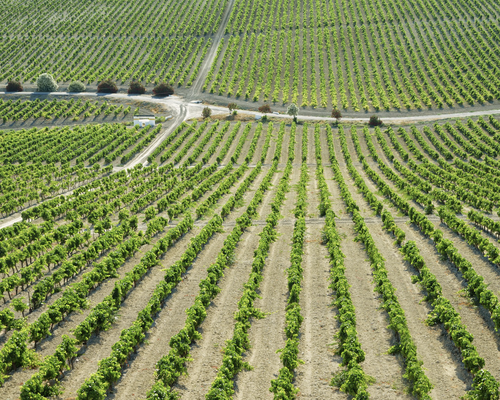 Captura de Pantalla 2024-07-18 a las 19.37.54