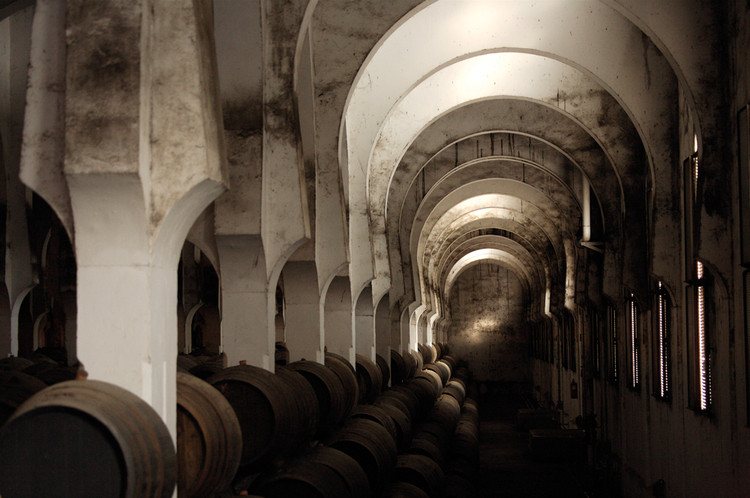 ENVEJECIMIENTO-MEZQUITA-1