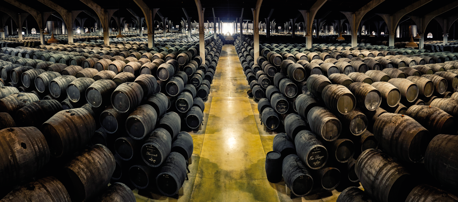bodegas vinos de jerez sherry wines