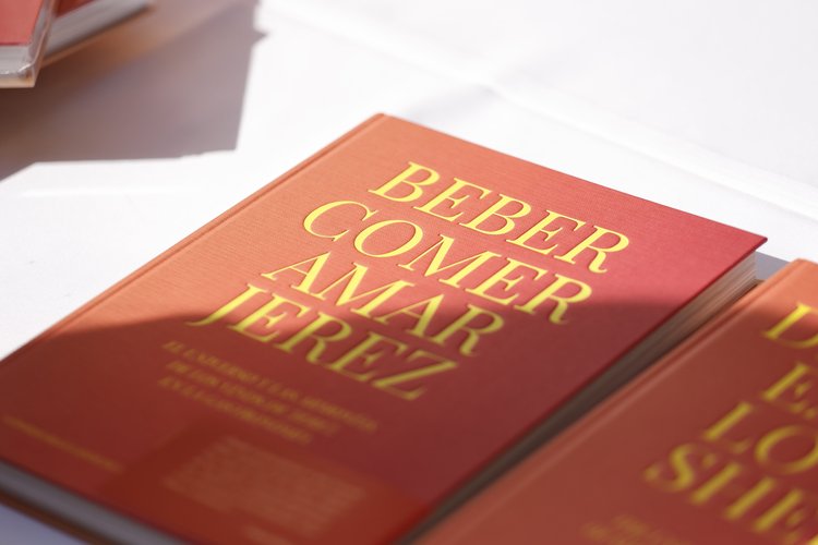 PRESENTACIÓN LIBRO VINOBLE (7)