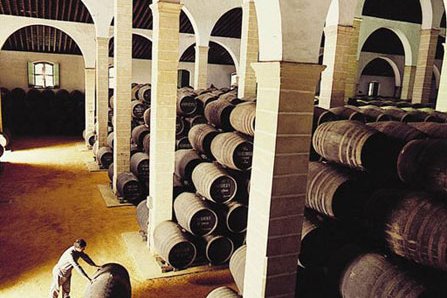Vinos Jerez Sherry Wines Bodegas