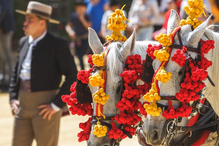 feria_caballo_jerez_caballos_8.jpg
