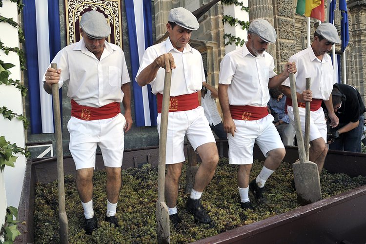 Harvest Festival Jerez 