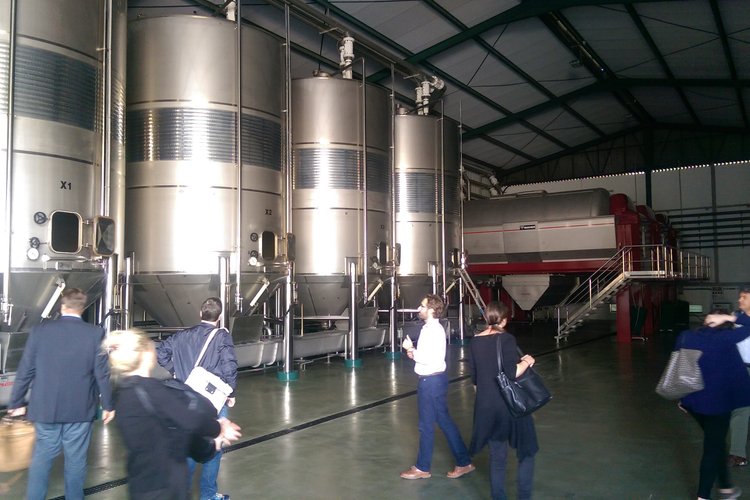 Winemaking facilities at Grupo Estevez