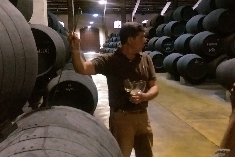 First Criadera tasting