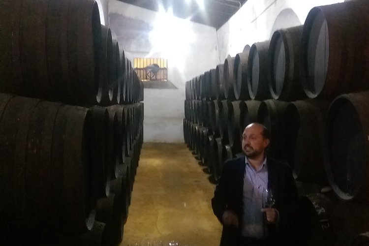 Bodegas Barbadillo