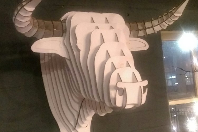 Take the Bull by the horns