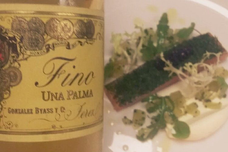 Fino Una Palma