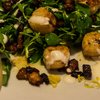 Pan-fried scallops with crisp pancetta, pea shoots & lemon creme fraiche