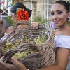 Harvest Festival Jerez